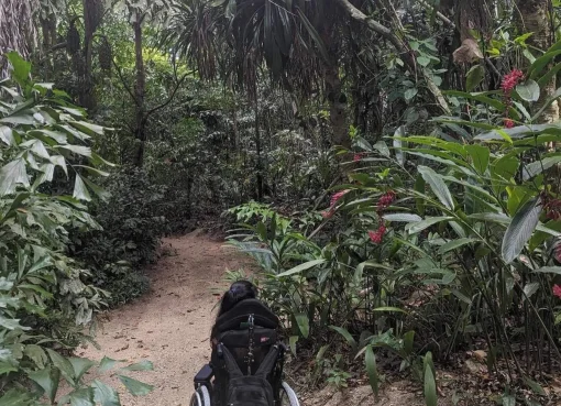 Kakadu National Park, accessible facilities