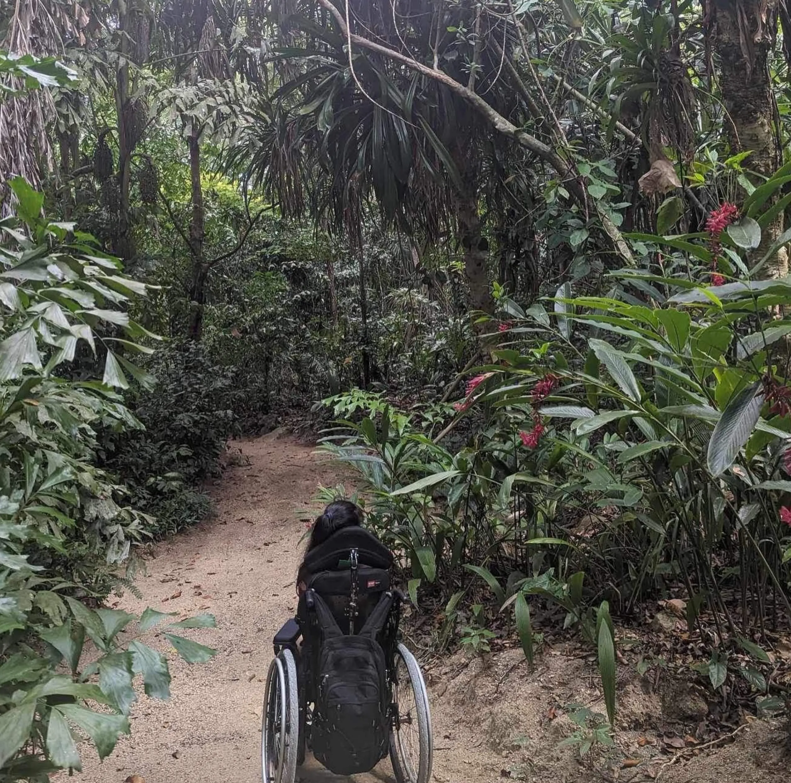 Accessible Travel Guide: Kakadu National Park Insights