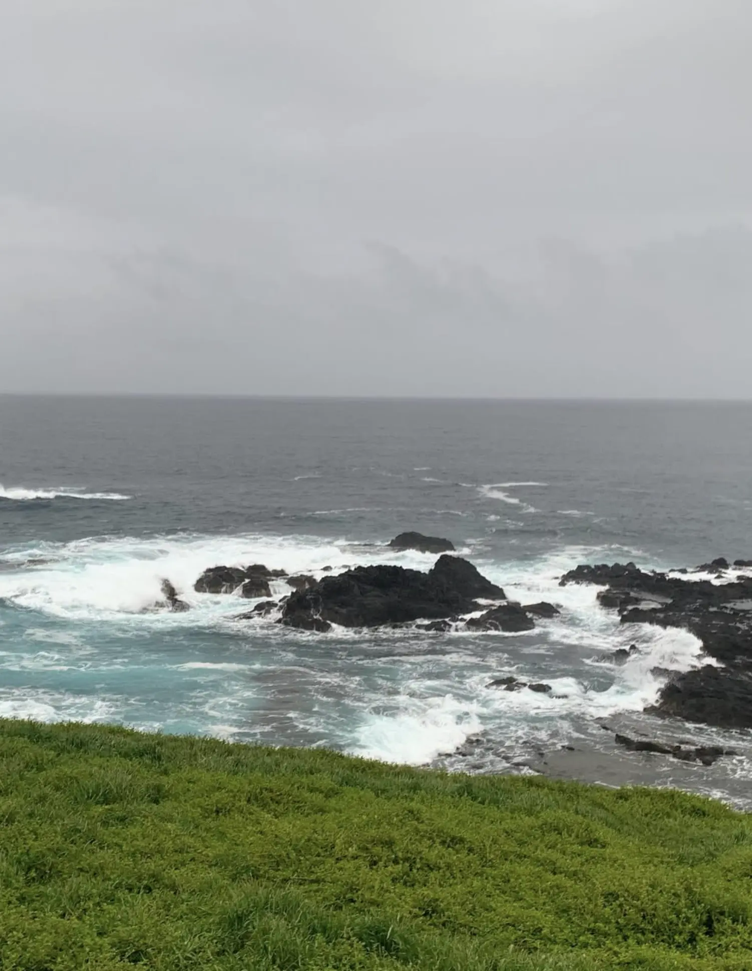 Do You Have to Pay to See the Nobbies? (Phillip Island)