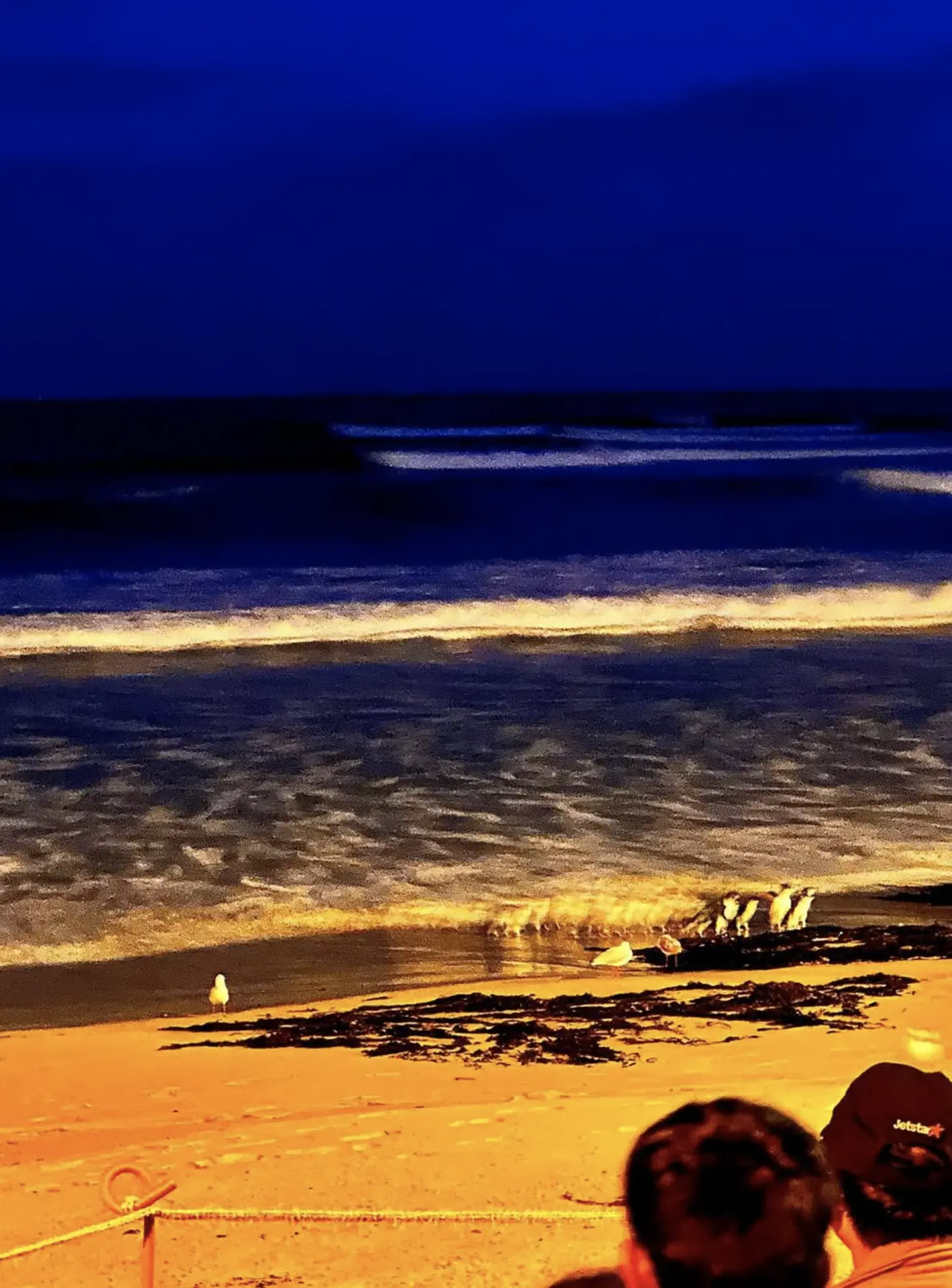 Phillip Island